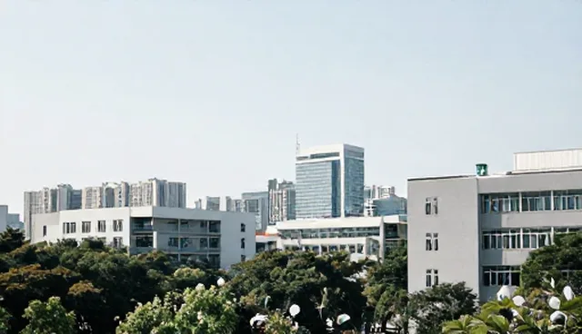 信息化建设中系统优化的适用条件分析